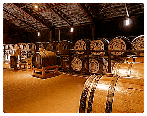 Rows of wooden casks aging whisky in Miyagikyo Distillery’s warehouse.