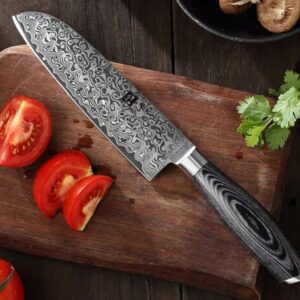 Handcrafted Japanese kitchen knife made from high-carbon steel, featuring razor-sharp precision and a traditional Japanese design, perfect for professional chefs and home cooking.