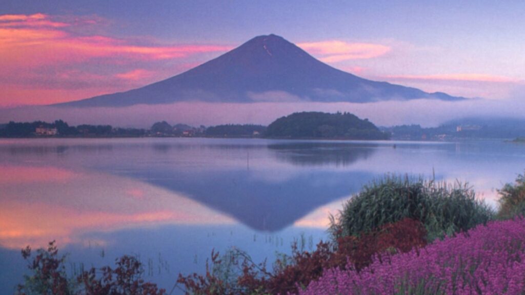 Mount Fuji others Dreams and Sakura Moments
