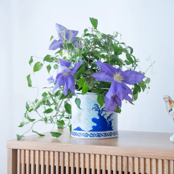 JAPAN BLUE WAVE AND DRAGON SAKE COOLER06