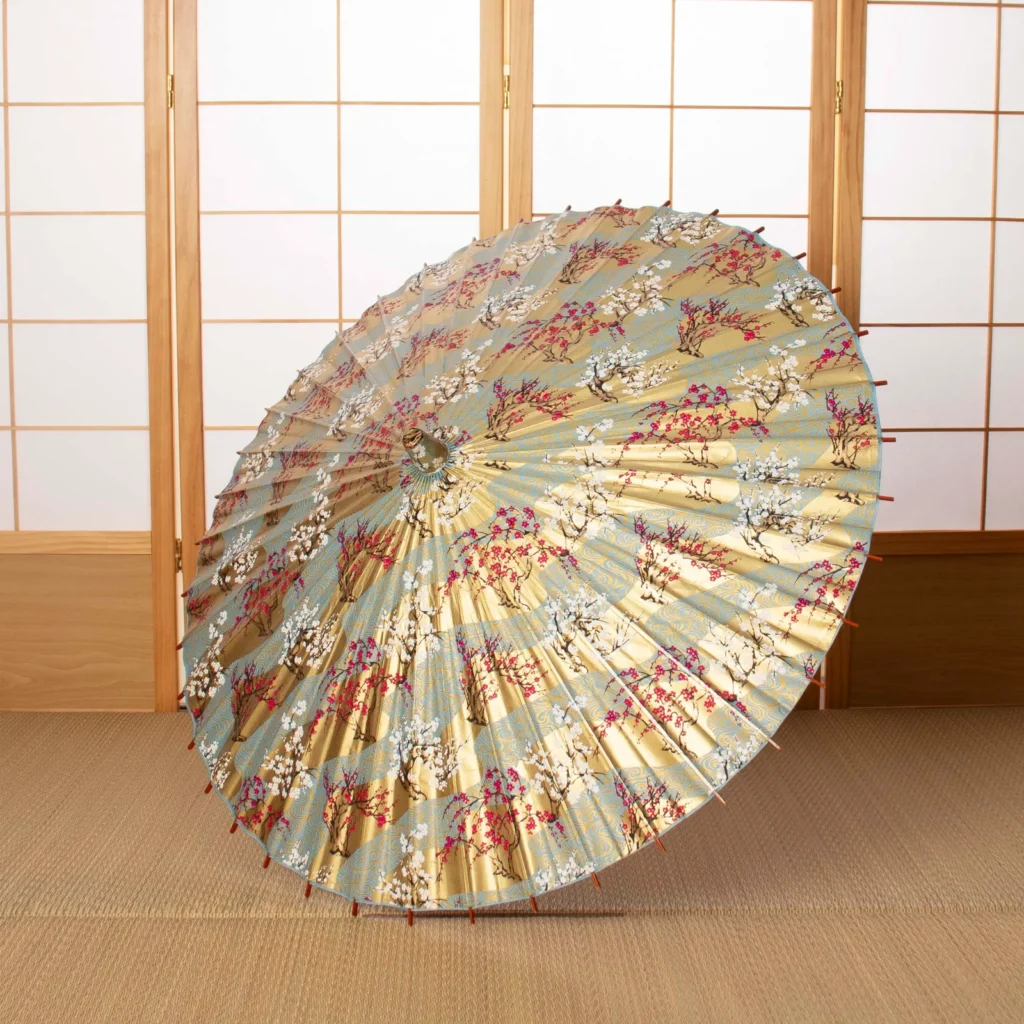 Japan Traditional Craft Wagasa