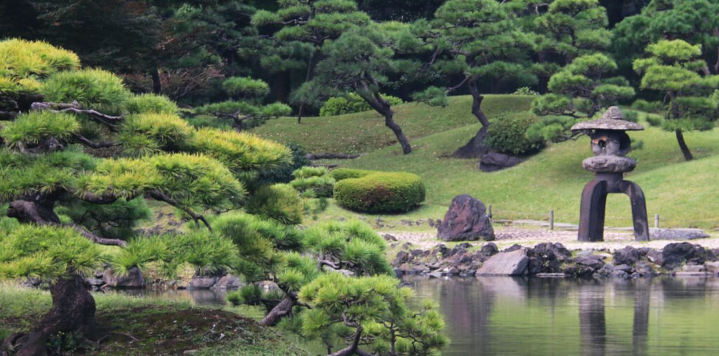 Japonism Silent Environment Garden