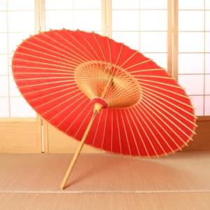 Japonism Wagasa Hi Kiwami02