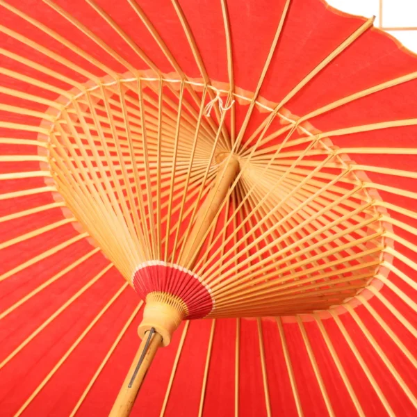 Japonism Wagasa Hi Kiwami05