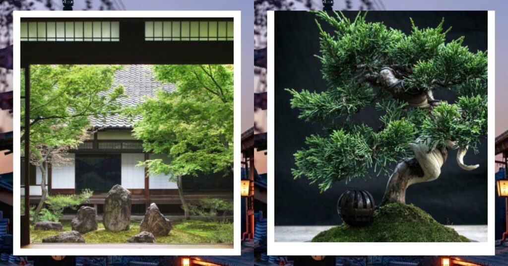 Wabi Sabi