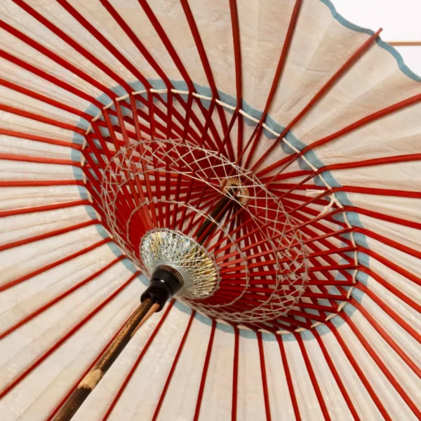 aponism Wagasa Ryusui Plum Gold Kyoto Yuzen04
