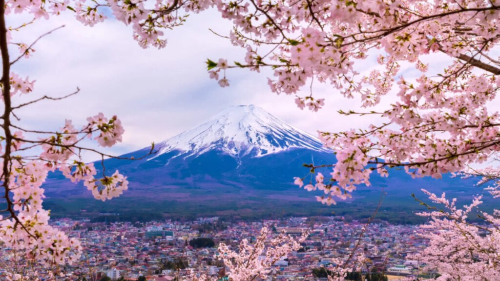 Mount Fuji Sakura007