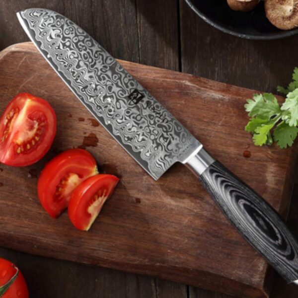 Premium Japan Cooking Sunnecko Chef's Knife, 8.0 inches04