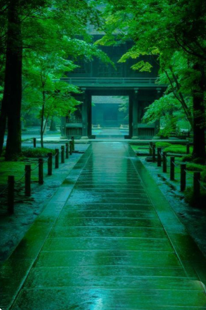 Wabi-Sabi — The Silence That Breathes Through Time