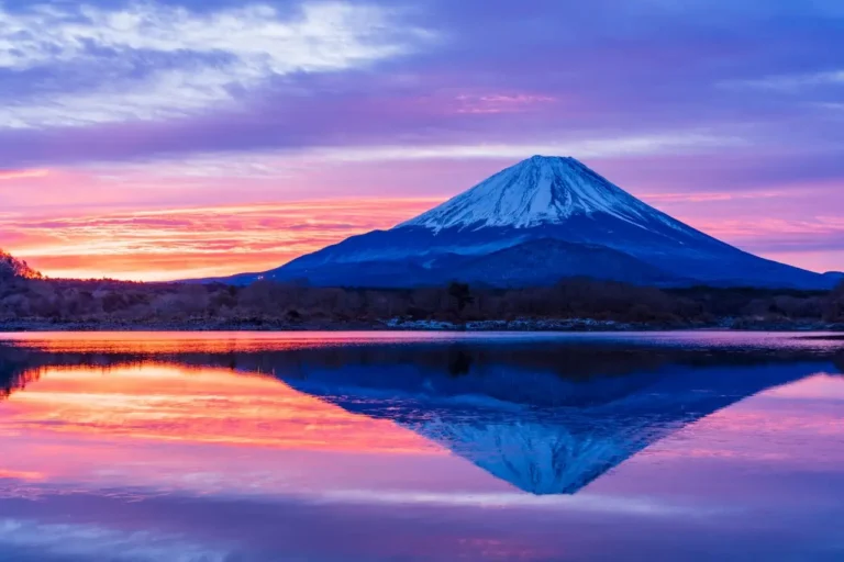 Fujisan Elegance – Onna Sake & Jizake under the Sakura Sky